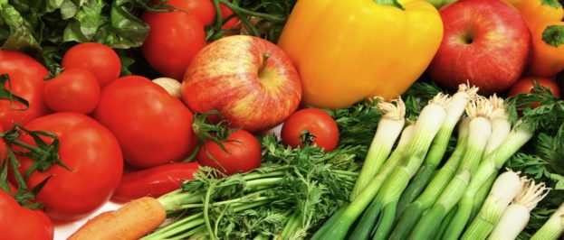 FDA Implementing FSMA: Program Realignment Building a Firm Foundation