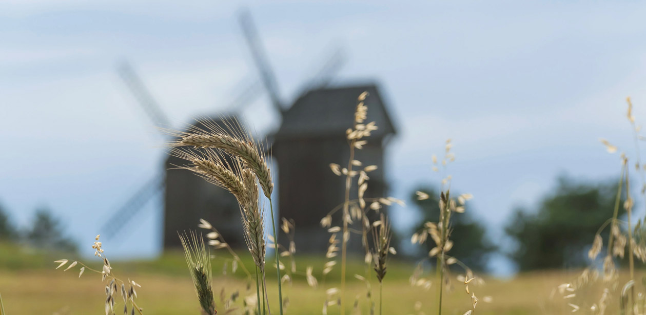 Don't Let Milling Challenges Grind You Down