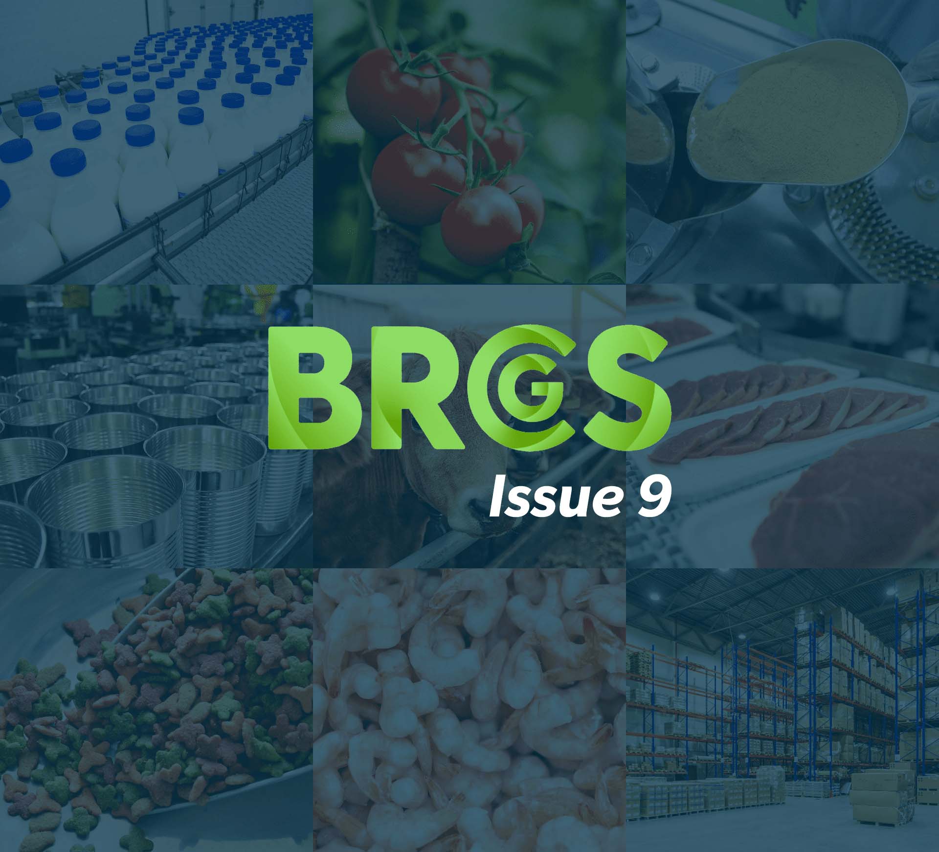 web-BRCGS-logo-photo-collage@2x
