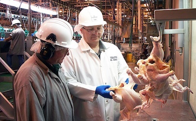 How to plan for USDA HACCP validation: Q&A with food safety consultants