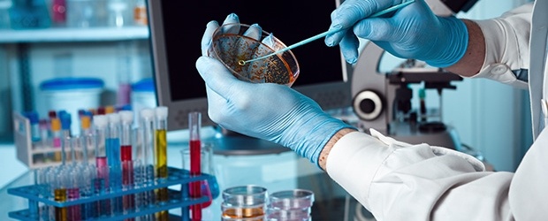 5 Ways for the Food Industry to Avoid Criminal Liability: Lessons from Peanut Corporation of America