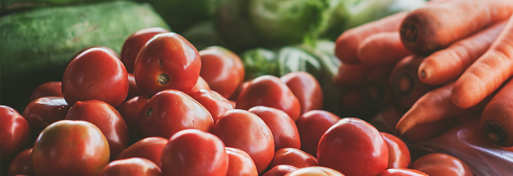 Exploring the Value of Quality Management System Training: Q&A with Industry Experts