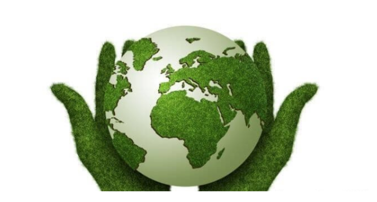 Environmental Sustainability Courses Empower Frontline Workers to Protect the Planet