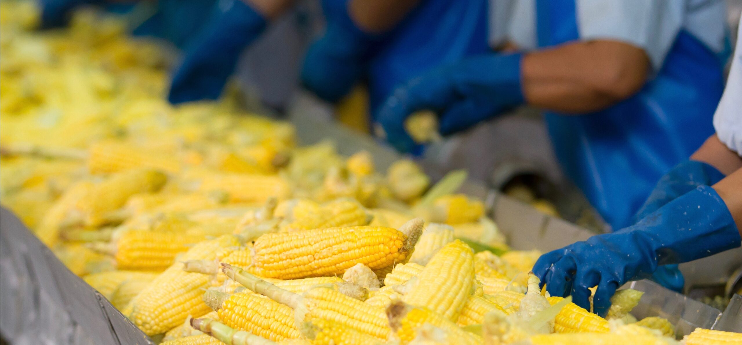 Safety is Always in Season for Crop Production