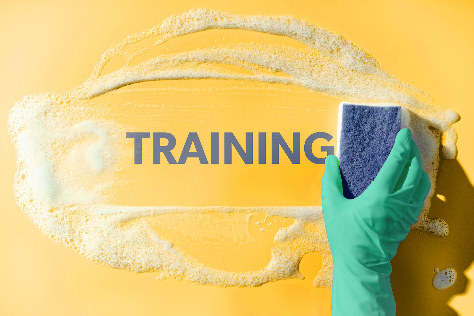 Spring Cleaning for Your Training Program: A Fresh Start for Success