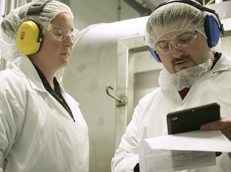 Workers reviewing documents
